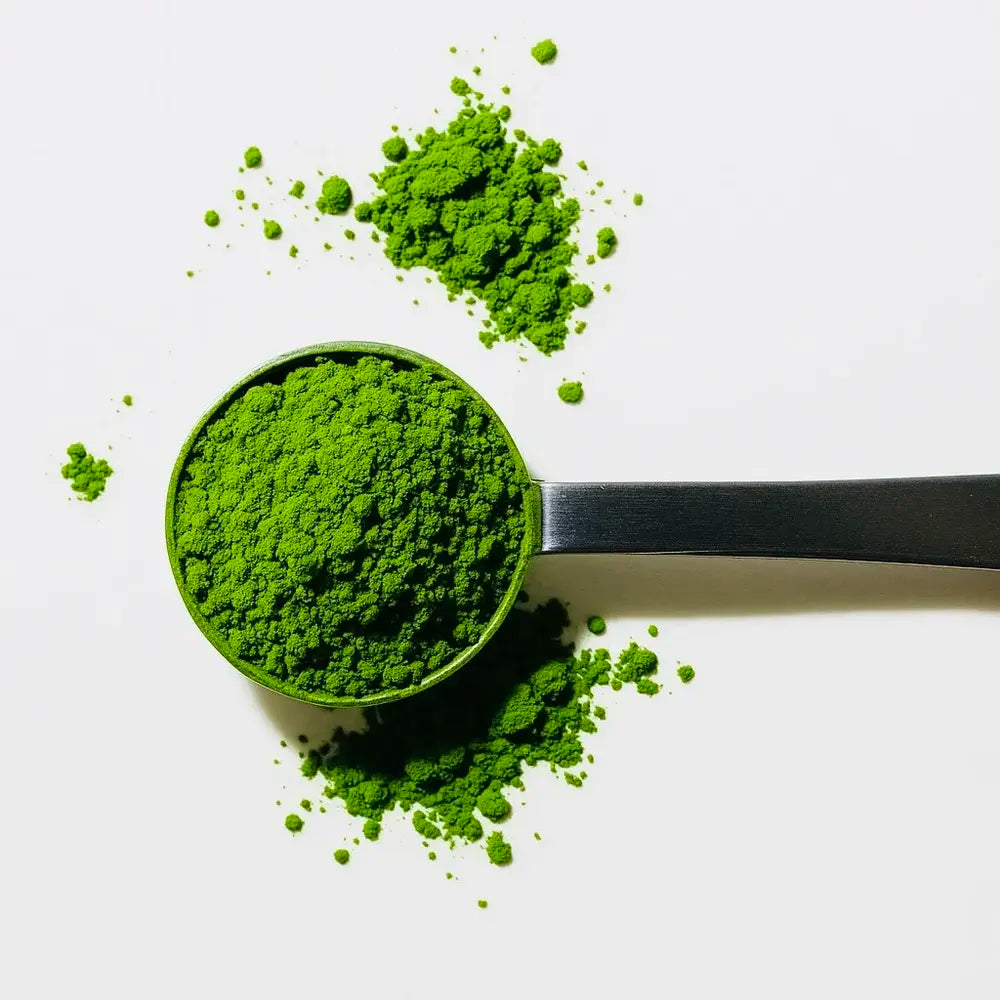 Belly Mood - Kagoshima Ceremonial matcha