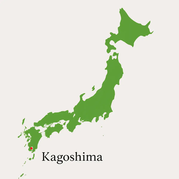 Japonijos žemėlapis – Kagoshimos regionas
